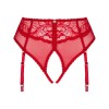 OBSESSIVE - DAGMARIE PANTIES CON LIGUERO XS/S