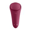 SATISFYER SEXY SECRET PANTY